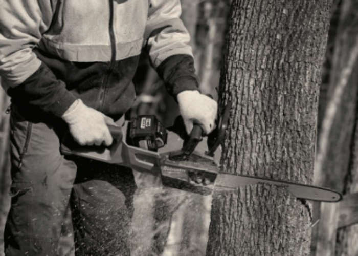 man cutting down tree
